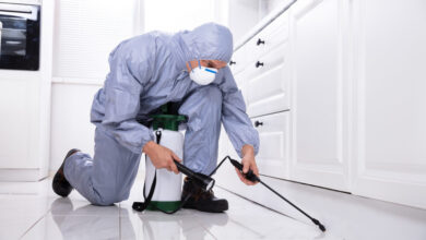 comprehensive-pest-control:-effective-strategies-and-solutions-for-a-pest-free-home