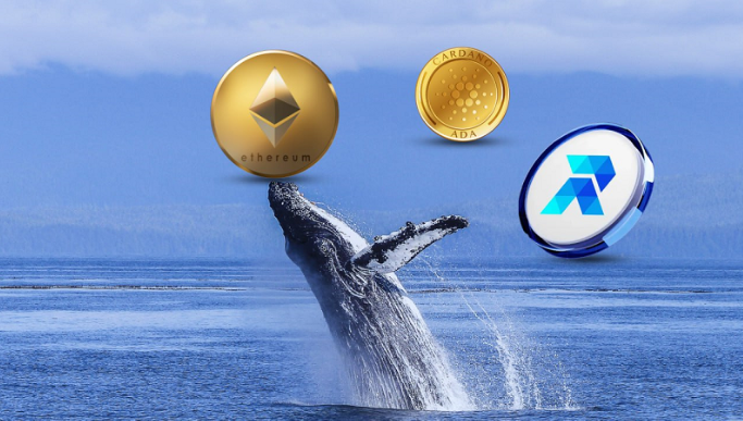 ethereum-(eth),-rco-finance-(rcof),-and-cardano-(ada)-record-unusual-hike-in-whale-activity