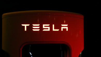 tesla:-changing-the-game-in-the-automotive-world-from-silicon-valley